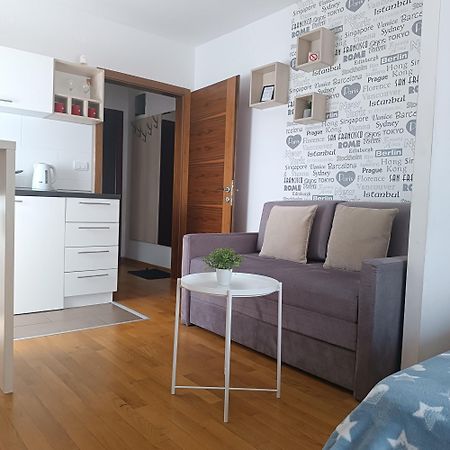 Apartments Karamarkovic Vrnjacka Banja Room photo